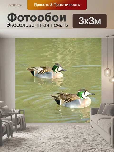Фотообои Two Ducks