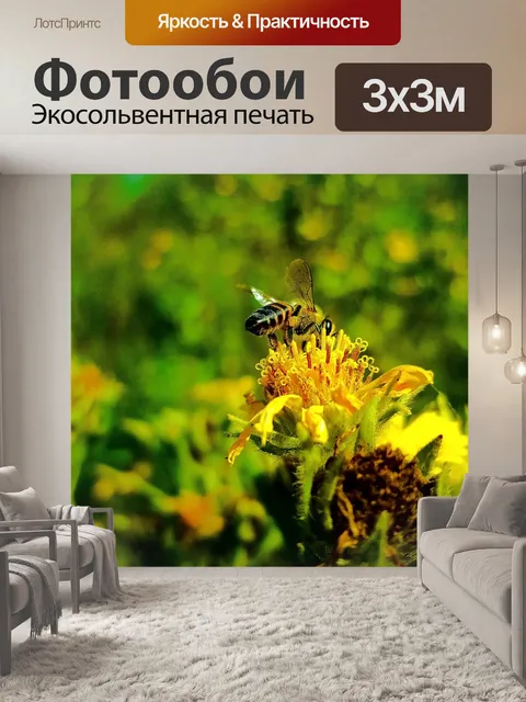 Фотообои Пчела