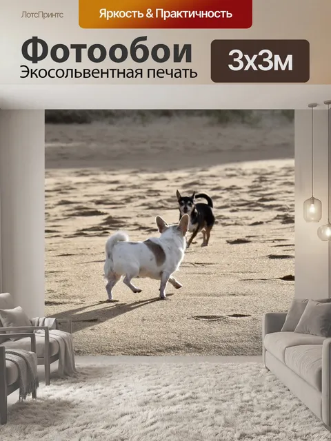 Фотообои Собаки