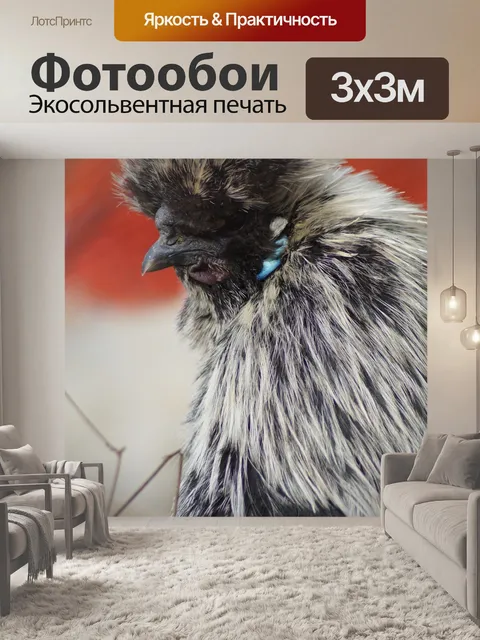 Фотообои Seidenhuhn