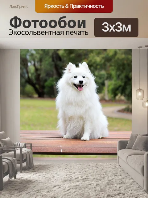 Фотообои Собака