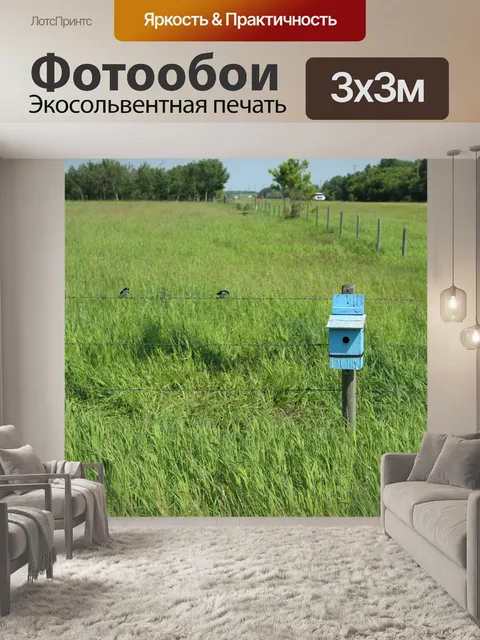 Фотообои Синяя птица дом