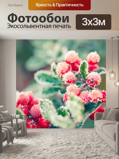 Фотообои Иней на красных ягодах