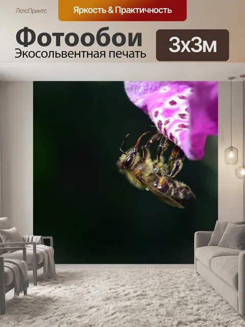 Фотообои Пчела
