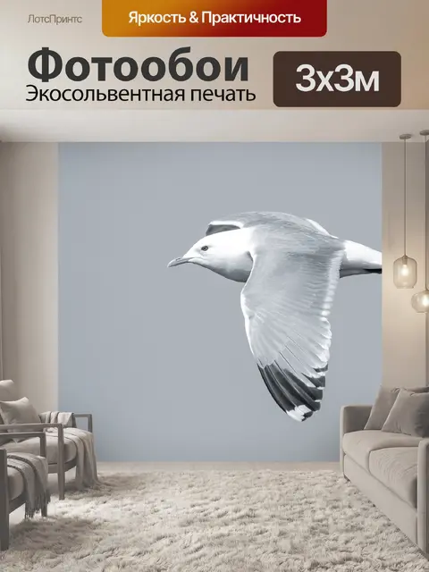Фотообои Птица