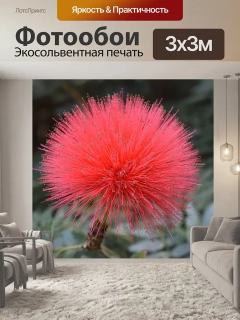 Фотообои Розовый