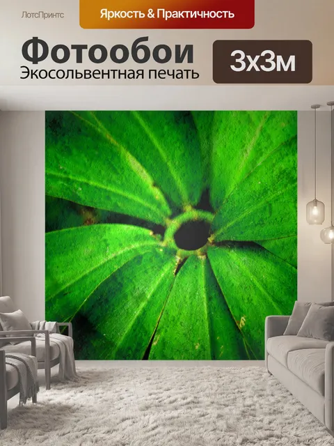 Фотообои текстура листа