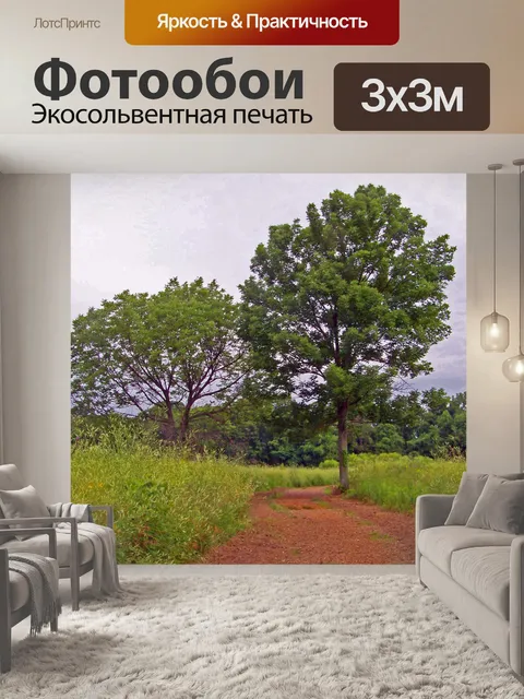 Фотообои Путь через поле
