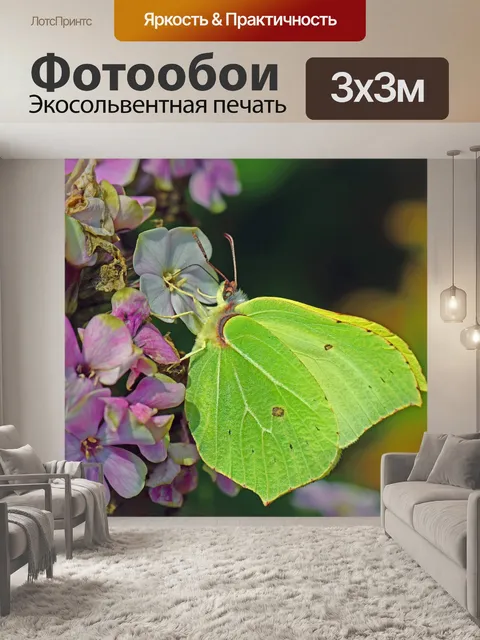 Фотообои Сера