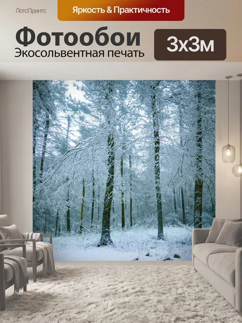Фотообои фото снежного леса зимой, с покрытыми инеем деревьями и мягким светом, пробивающимся сквозь ветви