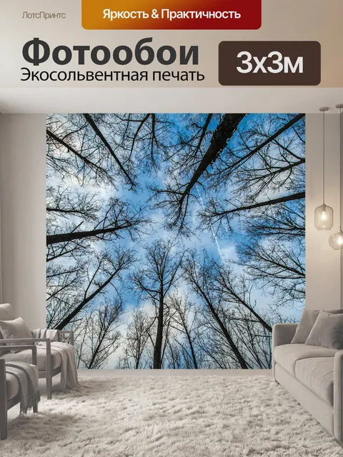 Фотообои Деревья