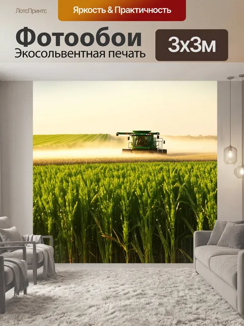 Фотообои утренний туман окутывает зеленые поля, на которых трудится комбайн, собирающий спелое зерно
