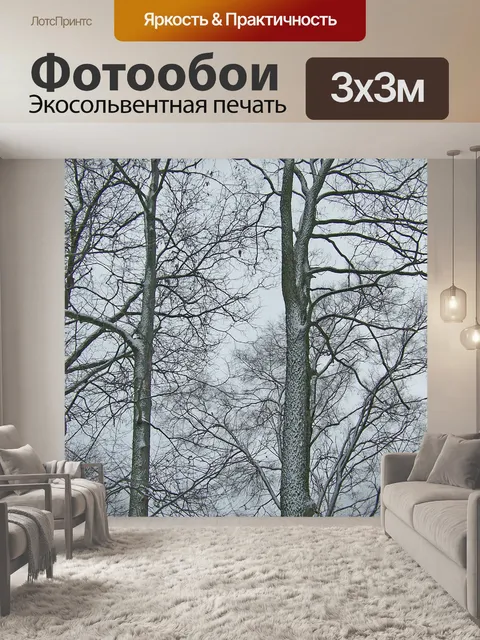 Фотообои Деревья
