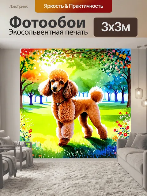 Фотообои пудель в летнем парке