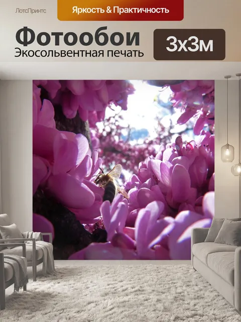 Фотообои Пчела