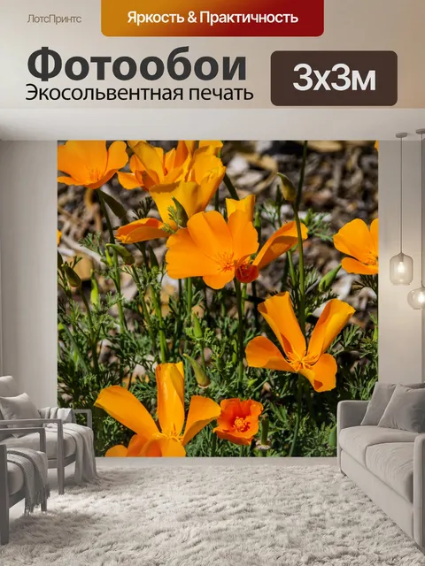 Фотообои маки
