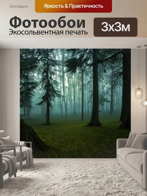 Фотообои лес с завораживающими туманными деревьями на рассвете