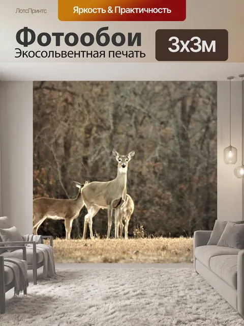 Фотообои Уайт-хвост оленей зимой