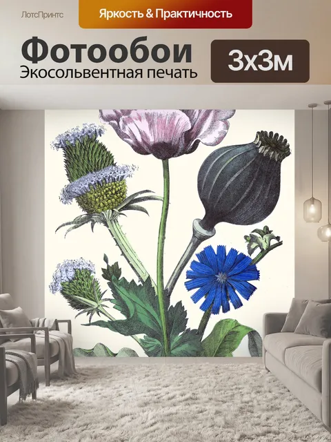 Фотообои Винтажные полевые цветы старая иллюстрац