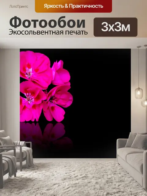 Фотообои Розовый цветок, розовая герань