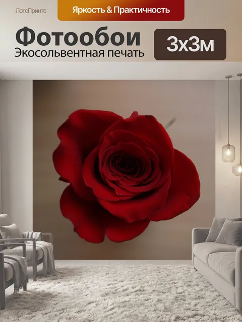 Фотообои Роза