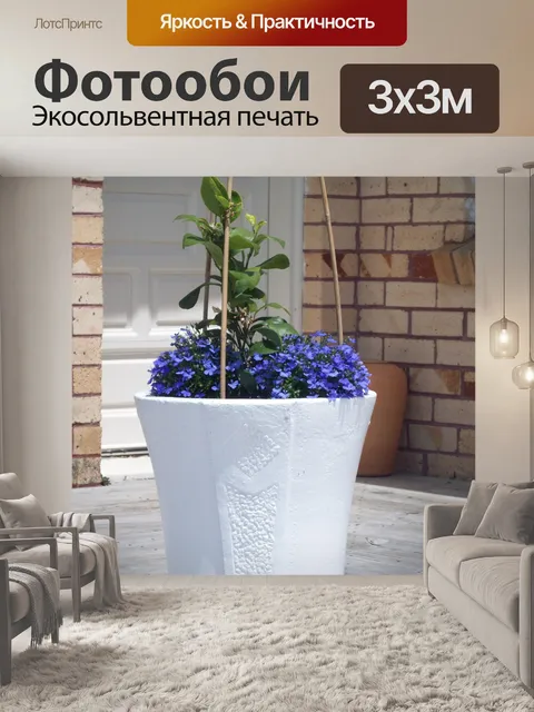 Фотообои Большой белый горшок сада