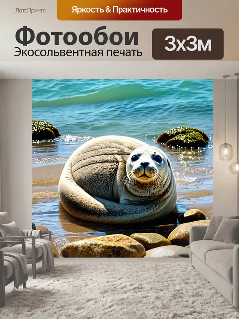 Фотообои уютный тюлень, нежно свернувшийся в клубок на берегу, среди множества гладких камней и батареи морских…