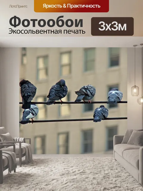 Фотообои Птицы
