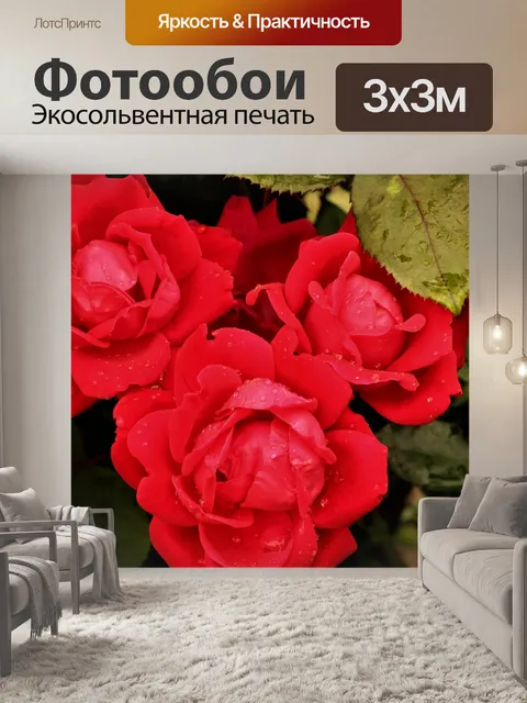 Фотообои Красные розы и капли дождя