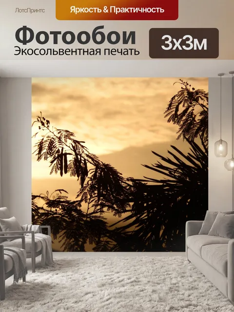 Фотообои Тропические деревья силуэт на закате