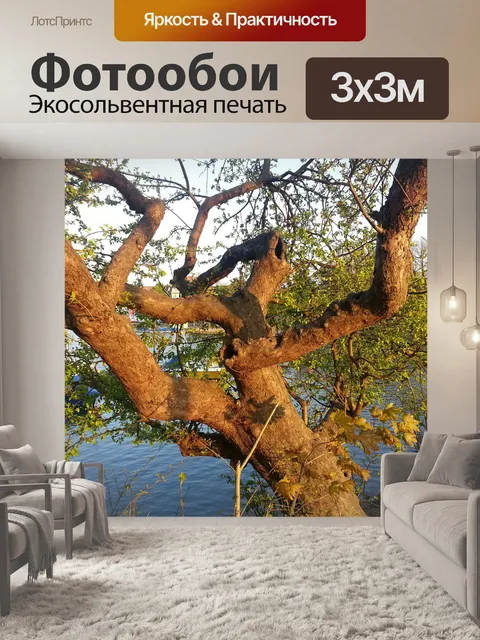 Фотообои Дерево