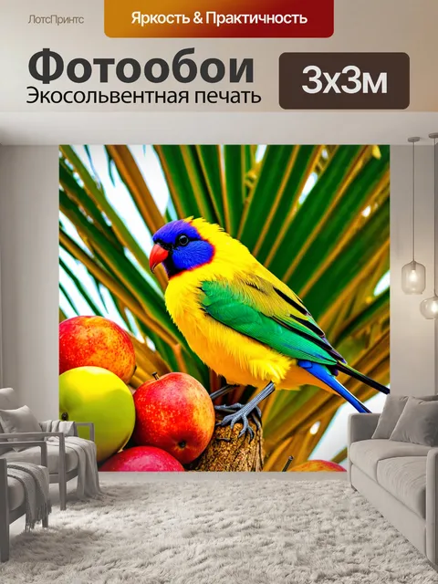 Фотообои яркая экзотическая птица