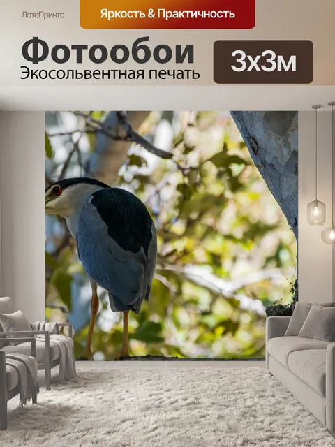 Фотообои Ночная цапля