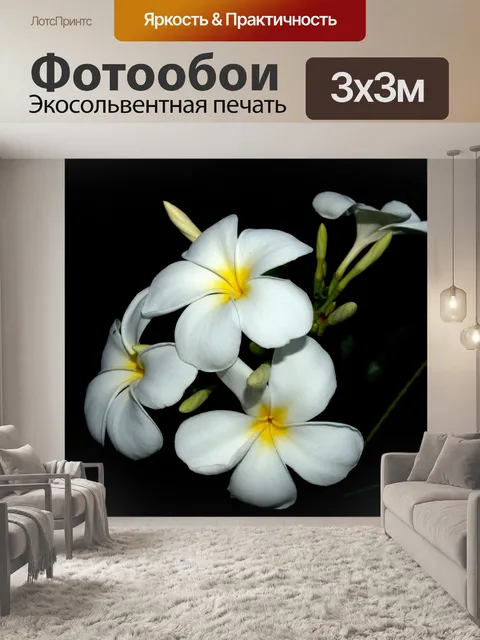 Фотообои Плюмерия Цветы