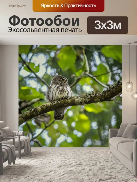Фотообои Дерево
