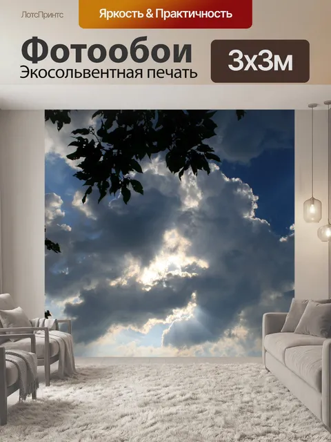 Фотообои светлые и темные облака с листвой