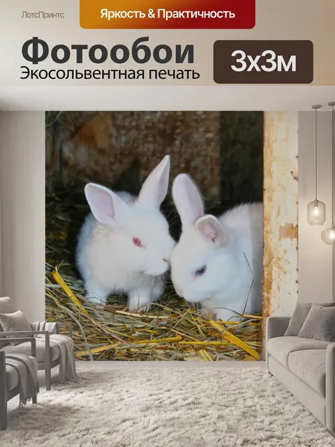Фотообои Кролики