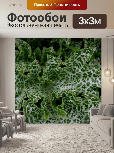 Фотообои Зеленая крапива