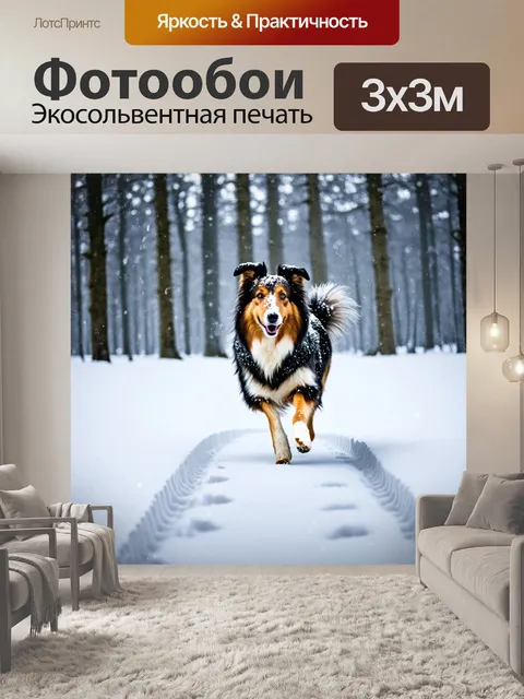 Фотообои в зимнем лесу, покрытом снежным покровом, колли резво скачет по белой целине