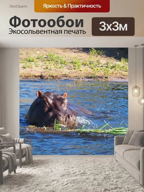 Фотообои Бегемот