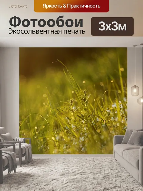 Фотообои Росы