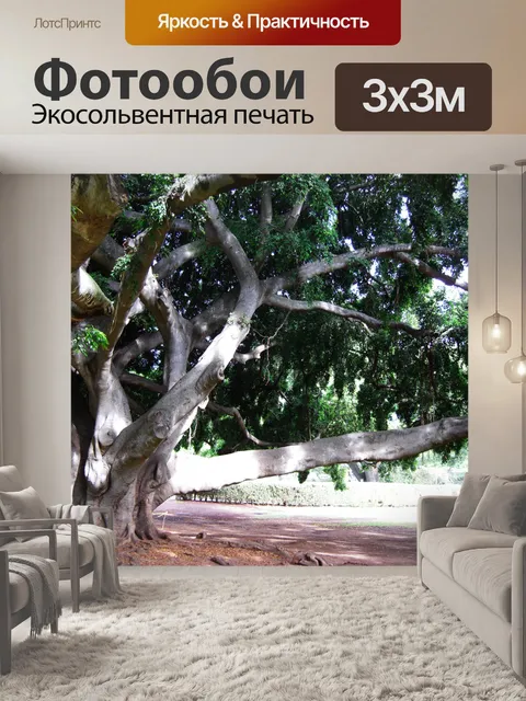 Фотообои Дерево Гавайях