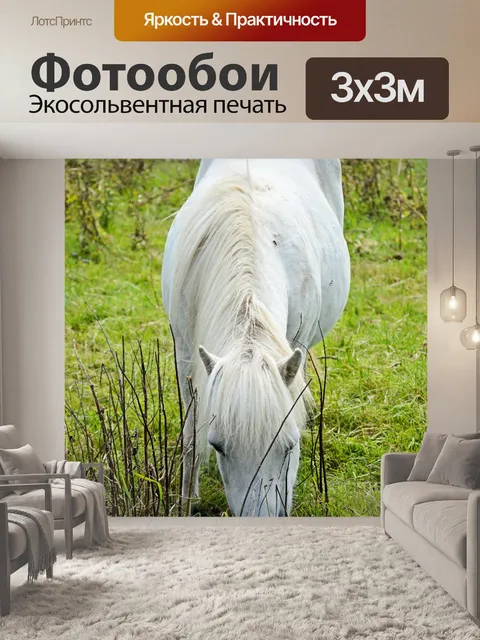 Фотообои Белый снег
