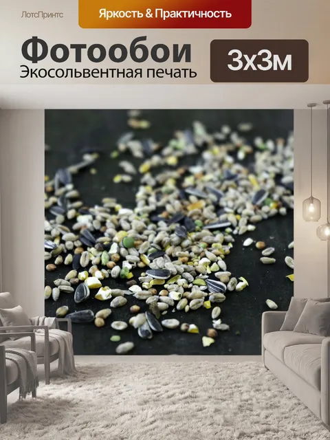 Фотообои Птица