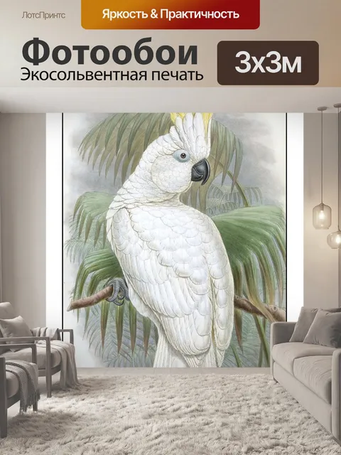 Фотообои Попугай какаду птица винтаж