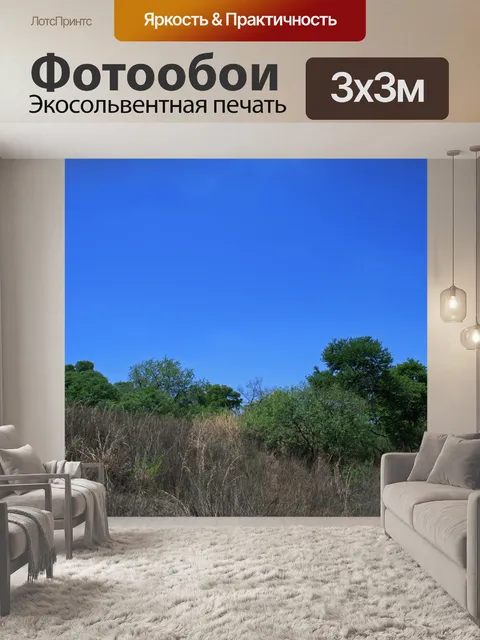 Фотообои зеленые кусты в сухом ландшафте