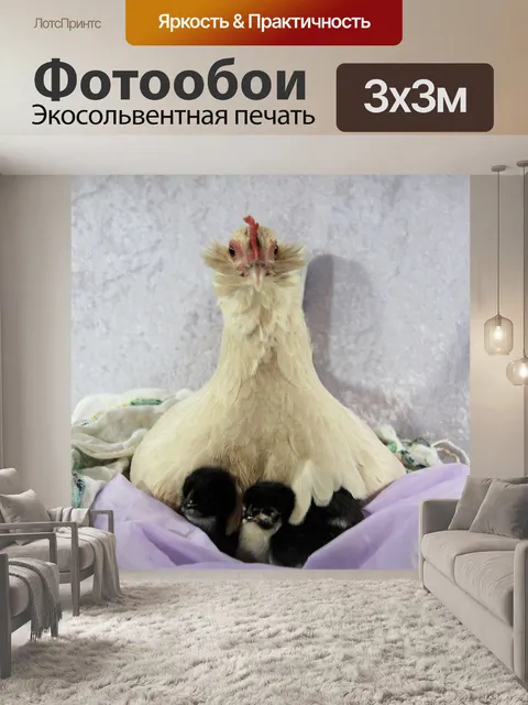 Фотообои Задумчивый курицы и цыплят