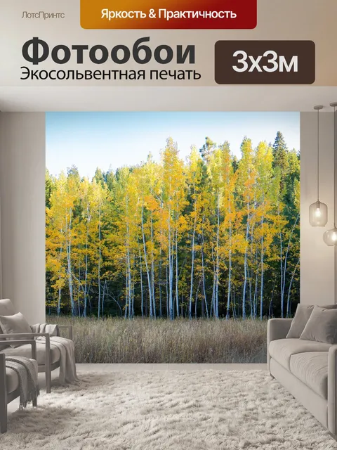 Фотообои Березы