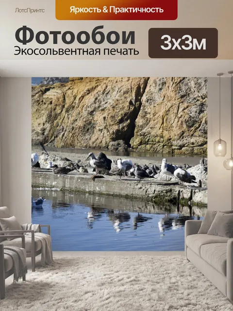 Фотообои Сутро Чайки