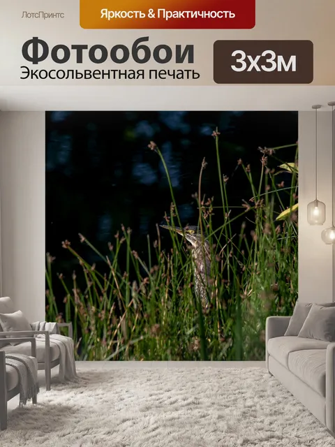 Фотообои Юбилейная зеленая цапля
